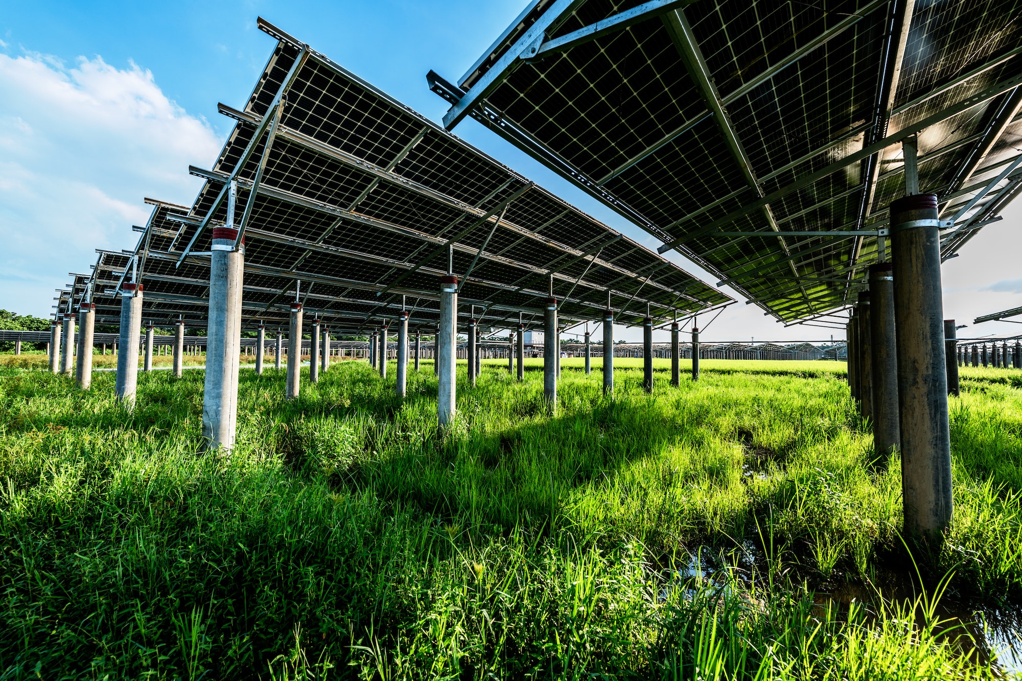 Solar power plant